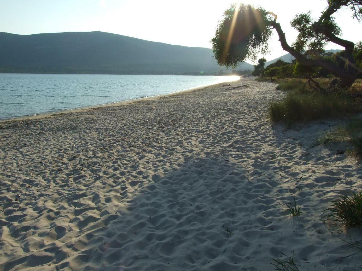 Agriturismo Corallo 圣塔·马里亚·迪·帕尔玛 外观 照片